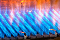 Burlingham Green gas fired boilers